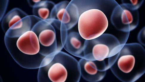 Artistic representation of cells