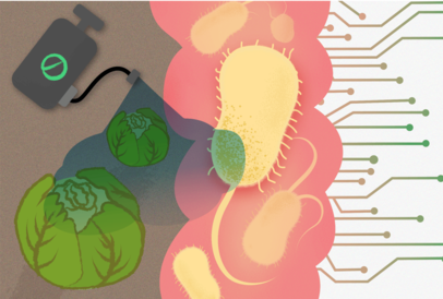 Illustration showing pesticides sprayed on vegetables, reaching gut bacteria, alongside a chip representing machine learning predicting their effects.