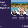 Poster for the Translational Control - From Cells to Organisms conference