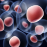 Artistic representation of cells