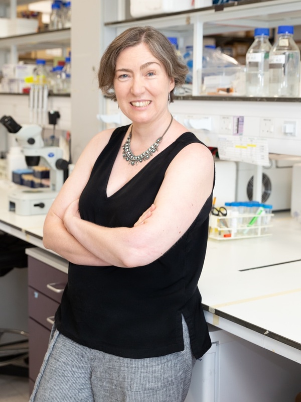 Dr Emma Rawlins
