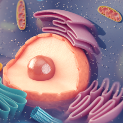 Artistic representation of inside of cell with different organelles