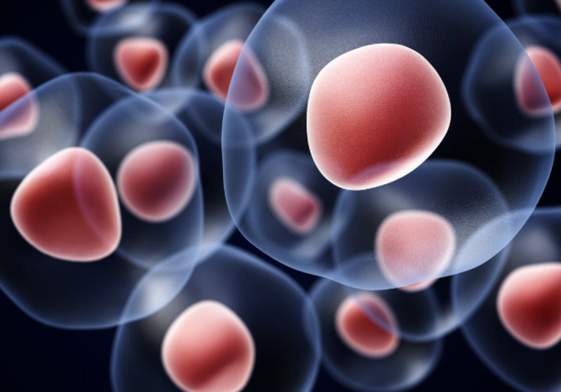 Artistic representation of cells