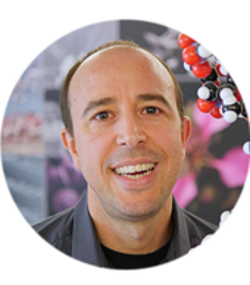Dr Miguel Martins